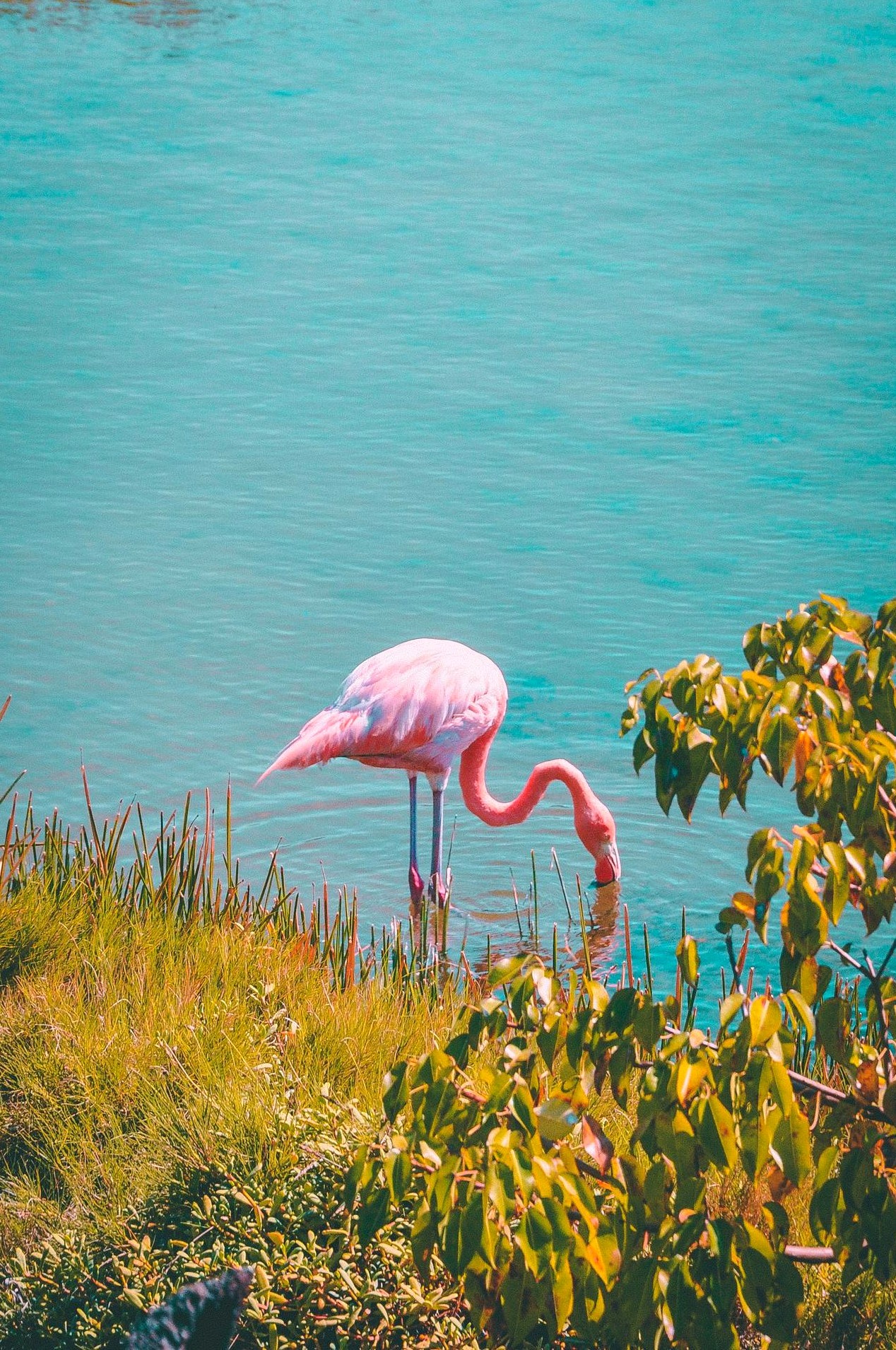 Cestování autem po malebných silnicích